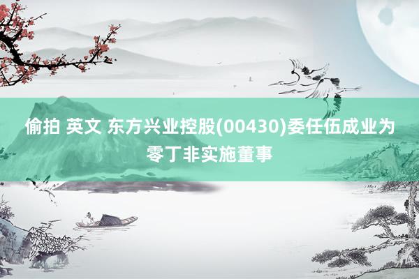 偷拍 英文 东方兴业控股(00430)委任伍成业为零丁非实施董事