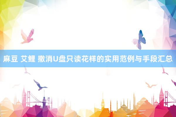 麻豆 艾鲤 撤消U盘只读花样的实用范例与手段汇总