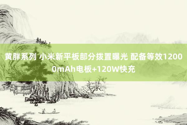 黄胖系列 小米新平板部分拨置曝光 配备等效12000mAh电板+120W快充