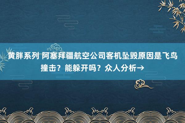 黄胖系列 阿塞拜疆航空公司客机坠毁原因是飞鸟撞击？能躲开吗？众人分析→