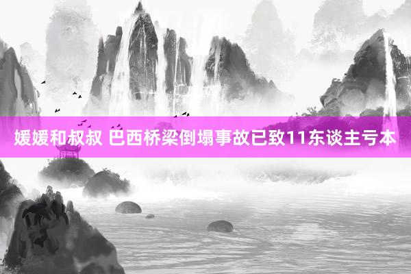 媛媛和叔叔 巴西桥梁倒塌事故已致11东谈主亏本