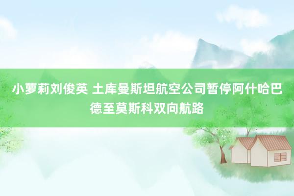 小萝莉刘俊英 土库曼斯坦航空公司暂停阿什哈巴德至莫斯科双向航路