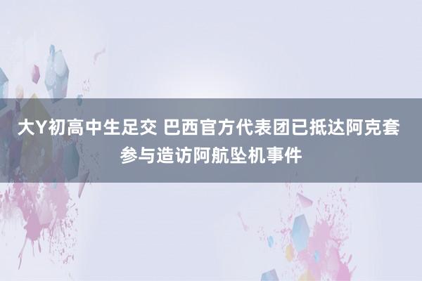 大Y初高中生足交 巴西官方代表团已抵达阿克套 参与造访阿航坠机事件