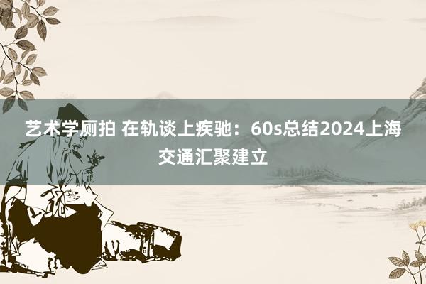 艺术学厕拍 在轨谈上疾驰：60s总结2024上海交通汇聚建立