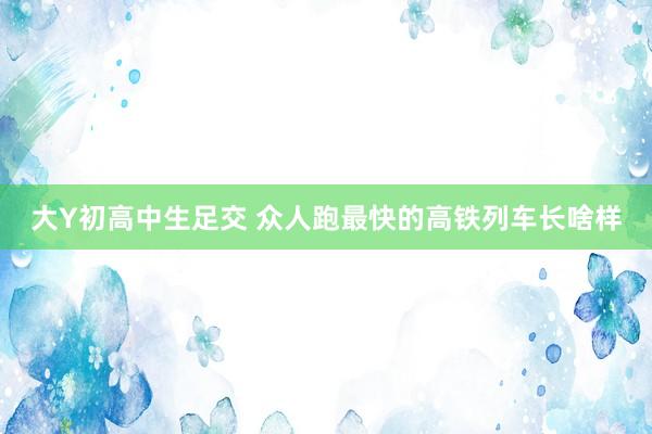 大Y初高中生足交 众人跑最快的高铁列车长啥样