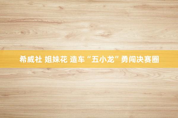 希威社 姐妹花 造车“五小龙”勇闯决赛圈