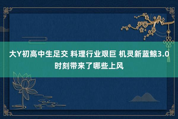 大Y初高中生足交 料理行业艰巨 机灵新蓝鲸3.0时刻带来了哪些上风