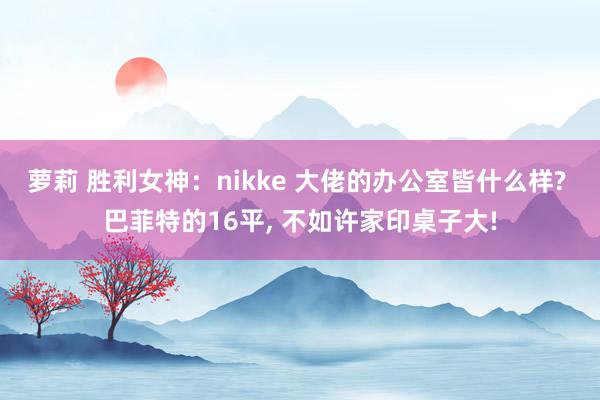 萝莉 胜利女神：nikke 大佬的办公室皆什么样? 巴菲特的16平, 不如许家印桌子大!