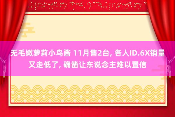 无毛嫩萝莉小鸟酱 11月售2台, 各人ID.6X销量又走低了, 确凿让东说念主难以置信