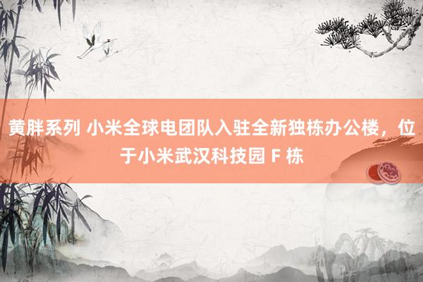 黄胖系列 小米全球电团队入驻全新独栋办公楼，位于小米武汉科技园 F 栋