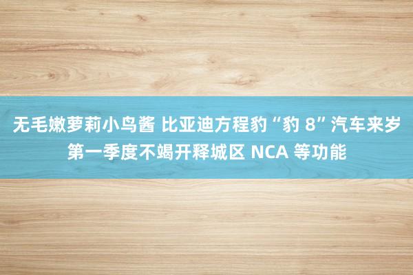 无毛嫩萝莉小鸟酱 比亚迪方程豹“豹 8”汽车来岁第一季度不竭开释城区 NCA 等功能