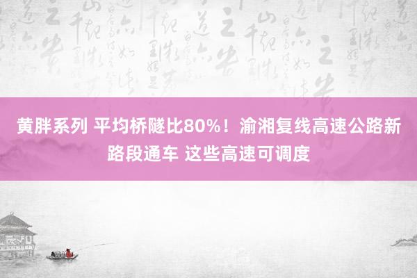 黄胖系列 平均桥隧比80%！渝湘复线高速公路新路段通车 这些高速可调度