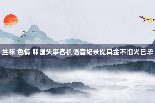 丝袜 色情 韩国失事客机语音纪录提真金不怕火已毕