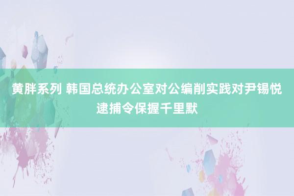 黄胖系列 韩国总统办公室对公编削实践对尹锡悦逮捕令保握千里默