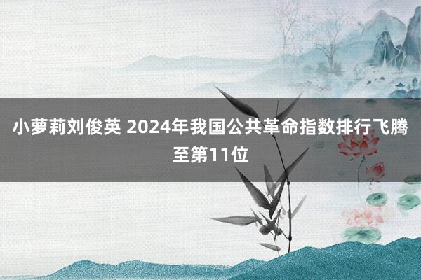 小萝莉刘俊英 2024年我国公共革命指数排行飞腾至第11位