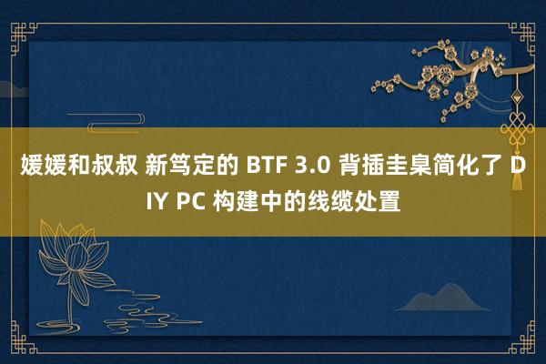 媛媛和叔叔 新笃定的 BTF 3.0 背插圭臬简化了 DIY PC 构建中的线缆处置