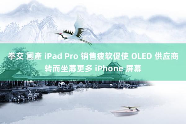 拳交 國產 iPad Pro 销售疲软促使 OLED 供应商转而坐蓐更多 iPhone 屏幕