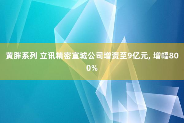 黄胖系列 立讯精密宣城公司增资至9亿元, 增幅800%