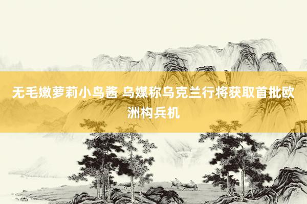 无毛嫩萝莉小鸟酱 乌媒称乌克兰行将获取首批欧洲构兵机