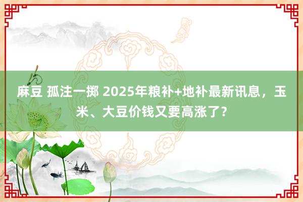 麻豆 孤注一掷 2025年粮补+地补最新讯息，玉米、大豆价钱又要高涨了？