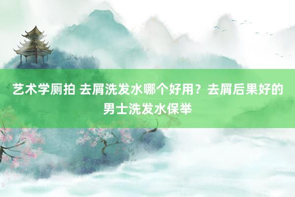 艺术学厕拍 去屑洗发水哪个好用？去屑后果好的男士洗发水保举