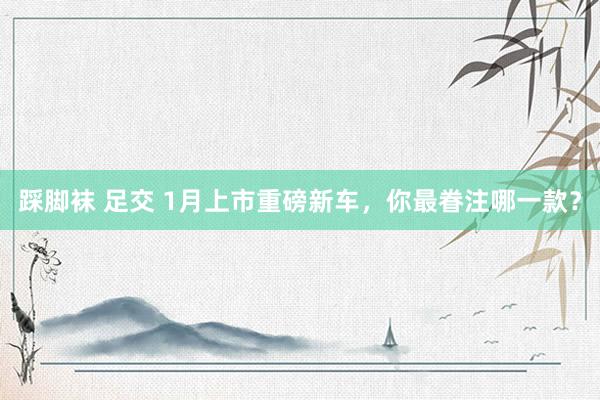 踩脚袜 足交 1月上市重磅新车，你最眷注哪一款？