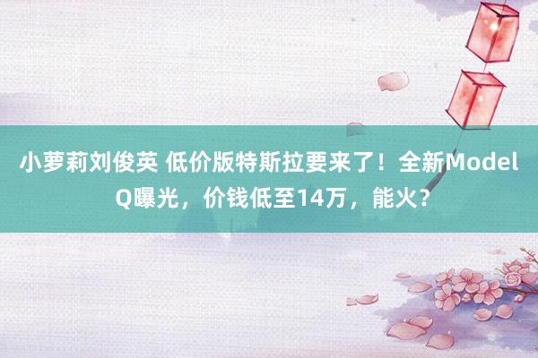 小萝莉刘俊英 低价版特斯拉要来了！全新Model Q曝光，价钱低至14万，能火？
