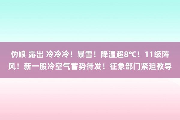 伪娘 露出 冷冷冷！暴雪！降温超8℃！11级阵风！新一股冷空气蓄势待发！征象部门紧迫教导