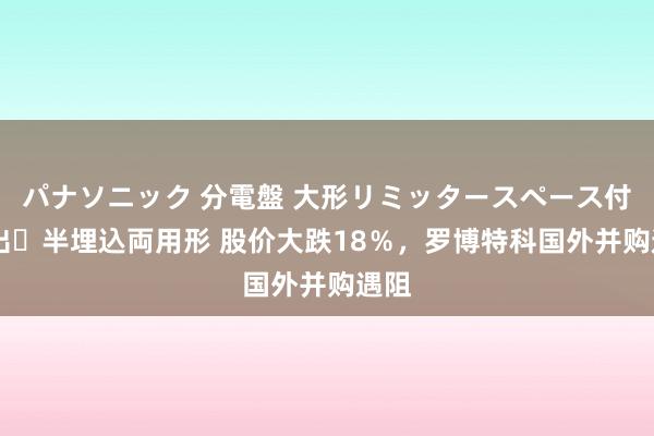 パナソニック 分電盤 大形リミッタースペース付 露出・半埋込両用形 股价大跌18％，罗博特科国外并购遇阻