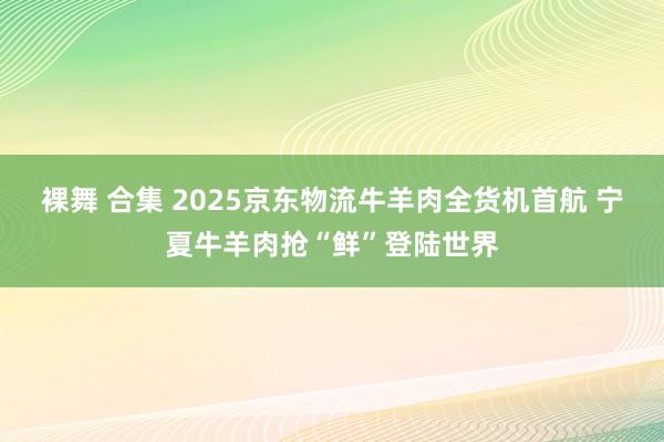 裸舞 合集 2025京东物流牛羊肉全货机首航 宁夏牛羊肉抢“鲜”登陆世界