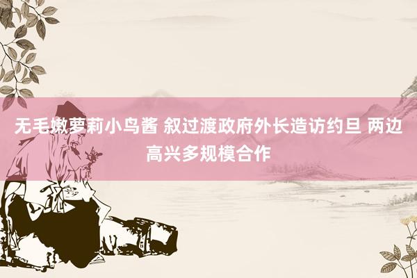 无毛嫩萝莉小鸟酱 叙过渡政府外长造访约旦 两边高兴多规模合作