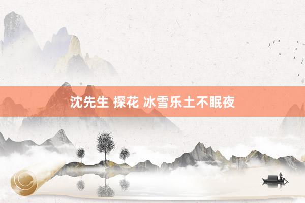 沈先生 探花 冰雪乐土不眠夜