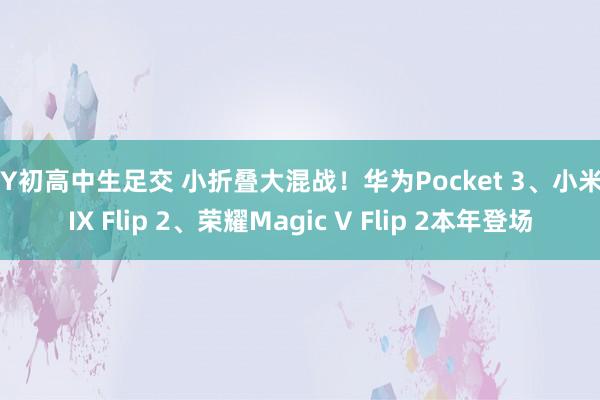 大Y初高中生足交 小折叠大混战！华为Pocket 3、小米MIX Flip 2、荣耀Magic V Flip 2本年登场