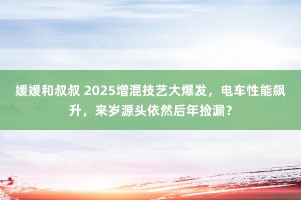媛媛和叔叔 2025增混技艺大爆发，电车性能飙升，来岁源头依然后年捡漏？