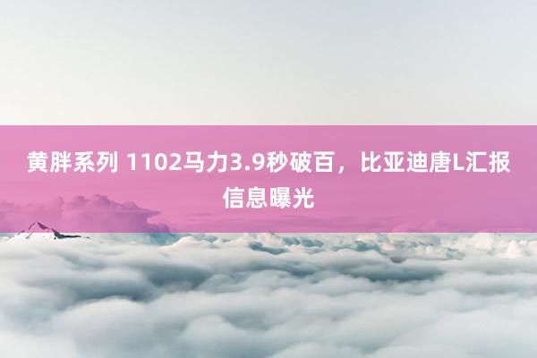 黄胖系列 1102马力3.9秒破百，比亚迪唐L汇报信息曝光