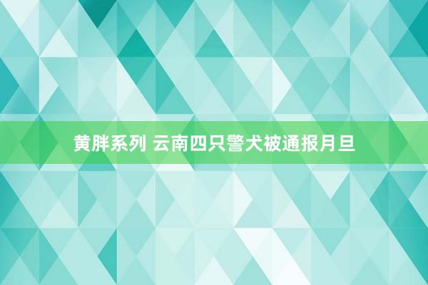 黄胖系列 云南四只警犬被通报月旦