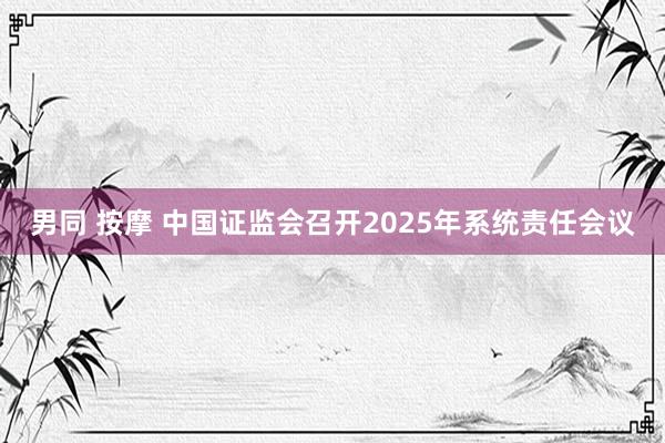 男同 按摩 中国证监会召开2025年系统责任会议