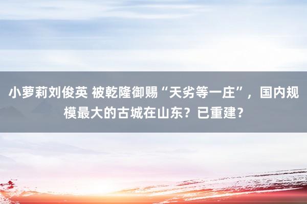 小萝莉刘俊英 被乾隆御赐“天劣等一庄”，国内规模最大的古城在山东？已重建？