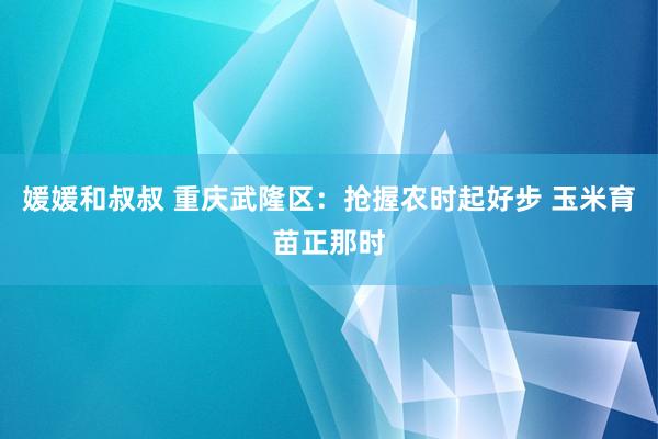 媛媛和叔叔 重庆武隆区：抢握农时起好步 玉米育苗正那时