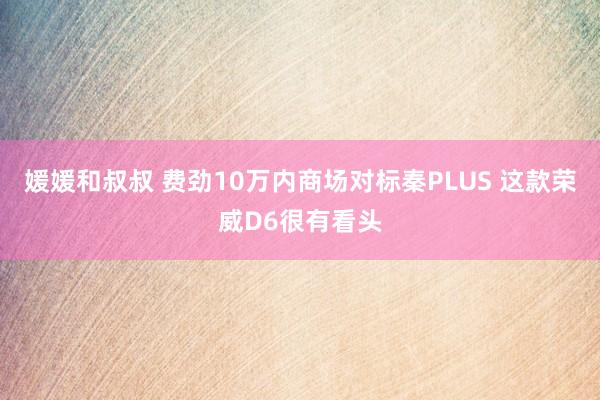 媛媛和叔叔 费劲10万内商场对标秦PLUS 这款荣威D6很有看头