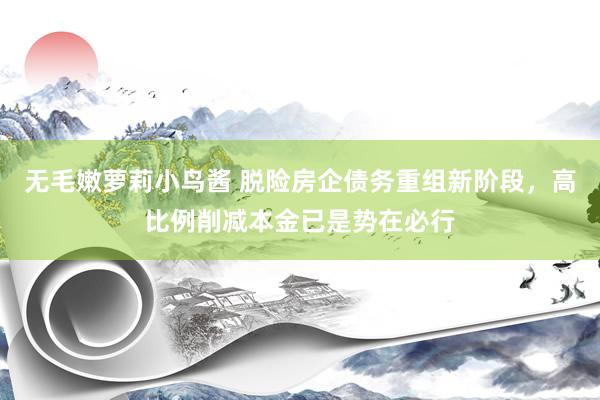 无毛嫩萝莉小鸟酱 脱险房企债务重组新阶段，高比例削减本金已是势在必行