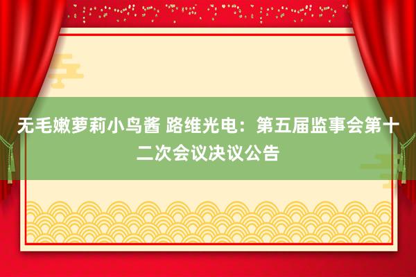 无毛嫩萝莉小鸟酱 路维光电：第五届监事会第十二次会议决议公告
