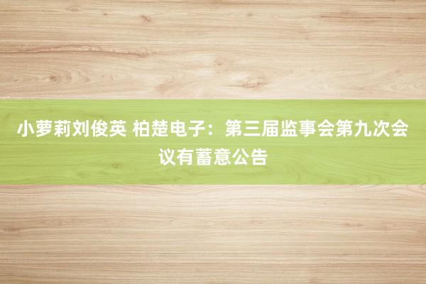 小萝莉刘俊英 柏楚电子：第三届监事会第九次会议有蓄意公告