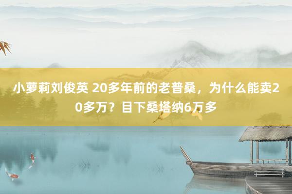 小萝莉刘俊英 20多年前的老普桑，为什么能卖20多万？目下桑塔纳6万多