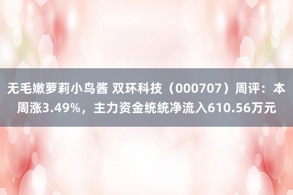 无毛嫩萝莉小鸟酱 双环科技（000707）周评：本周涨3.49%，主力资金统统净流入610.56万元