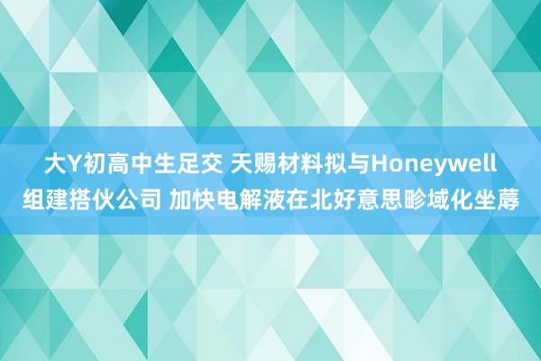 大Y初高中生足交 天赐材料拟与Honeywell组建搭伙公司 加快电解液在北好意思畛域化坐蓐