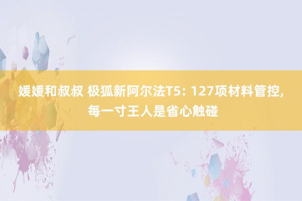媛媛和叔叔 极狐新阿尔法T5: 127项材料管控, 每一寸王人是省心触碰