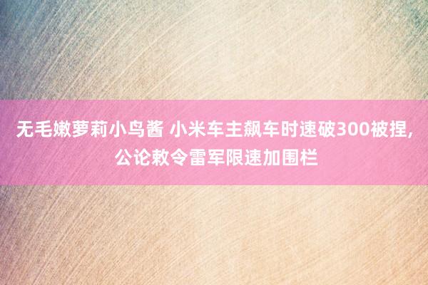 无毛嫩萝莉小鸟酱 小米车主飙车时速破300被捏, 公论敕令雷军限速加围栏
