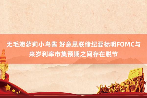 无毛嫩萝莉小鸟酱 好意思联储纪要标明FOMC与来岁利率市集预期之间存在脱节