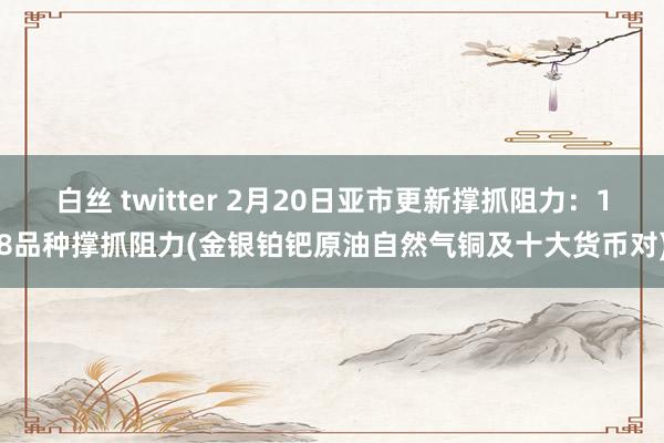 白丝 twitter 2月20日亚市更新撑抓阻力：18品种撑抓阻力(金银铂钯原油自然气铜及十大货币对)